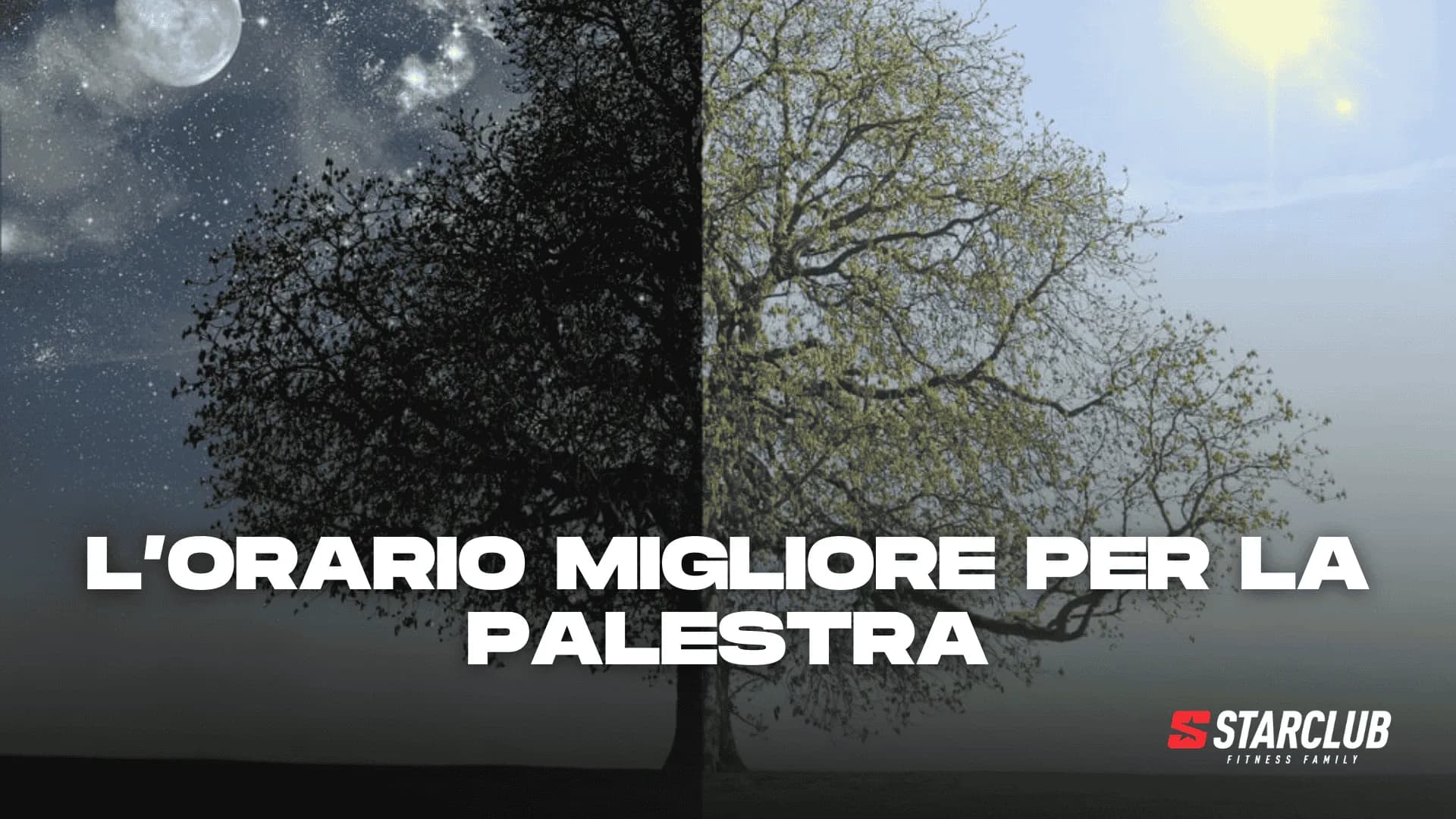 L’ORARIO IN PALESTRA INFLUISCE SUI RISULTATI?